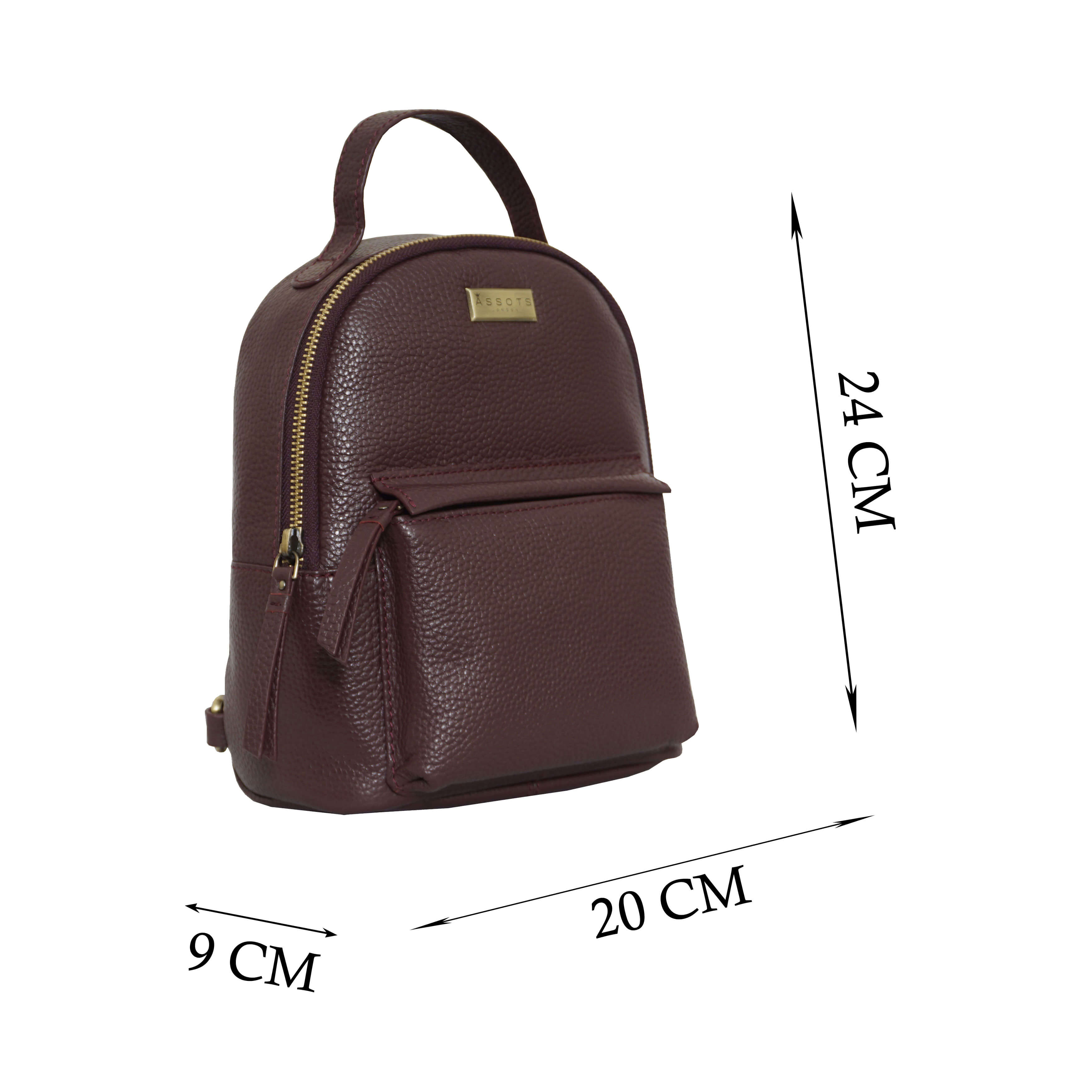'Betty' Burgundy Zip Top Mini Pebble Grain Leather Backpack