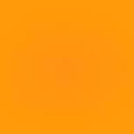 Strap 1 (Do not order)