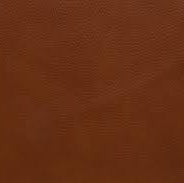 Free Leather Strap 1 (Do not order)