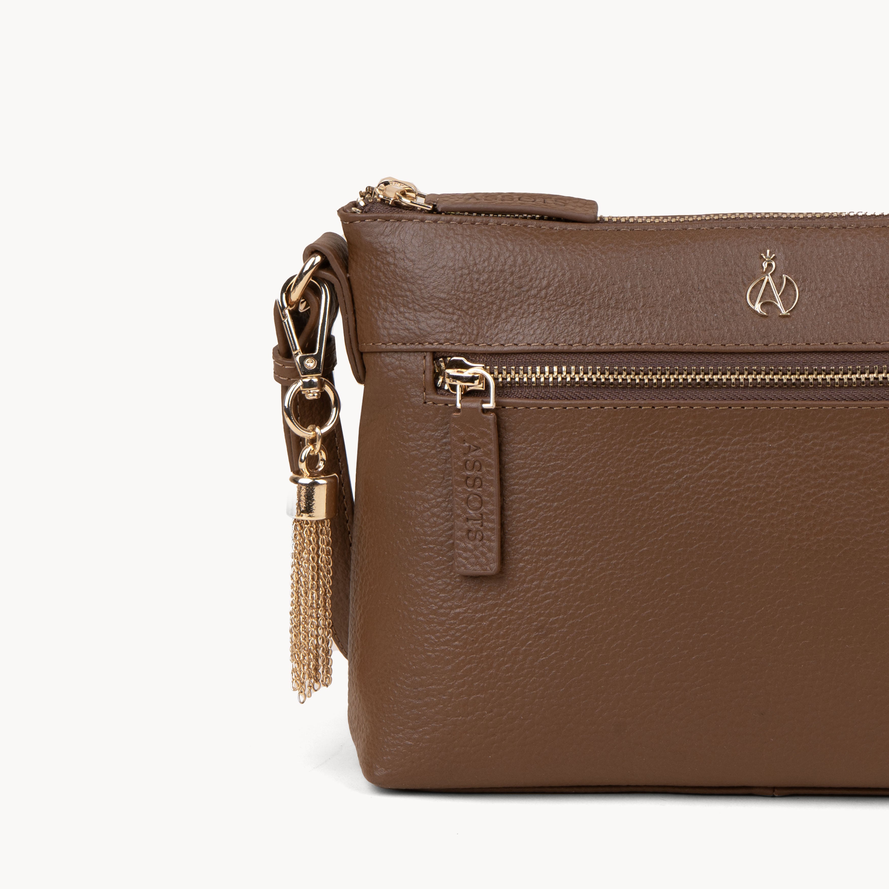 The Gold Chain Tassel